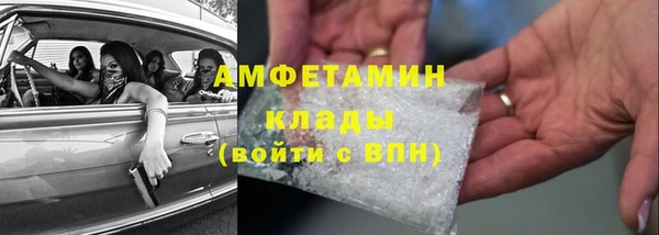 шишки Верея
