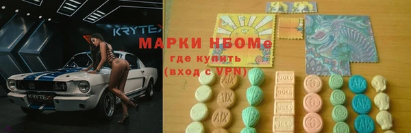 шишки Верея