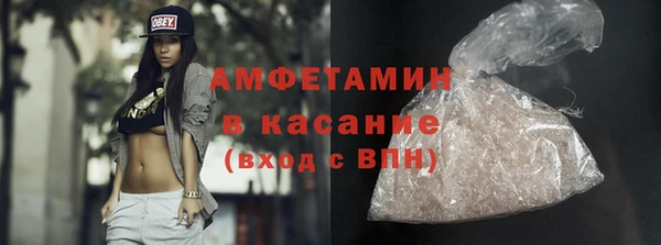шишки Верея