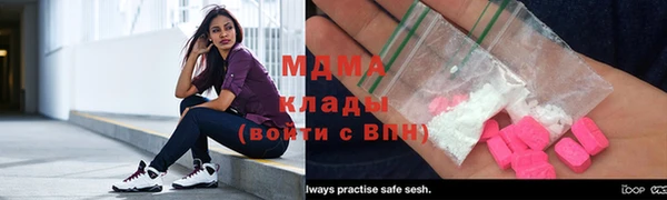 шишки Верея