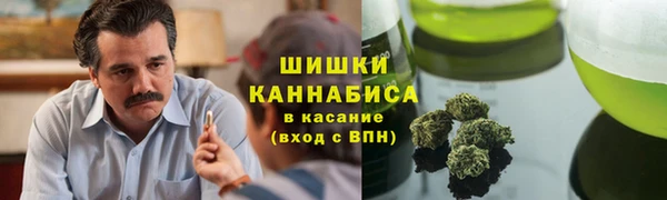 шишки Верея