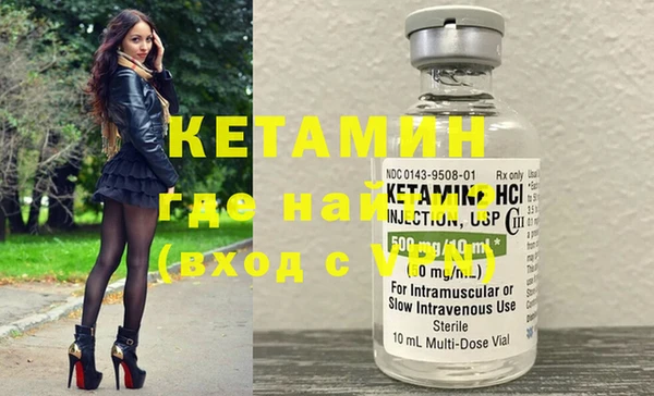 шишки Верея
