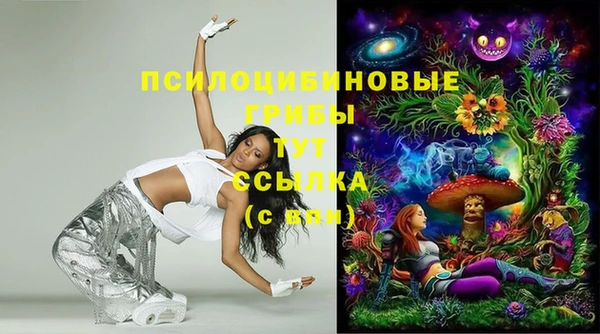шишки Верея