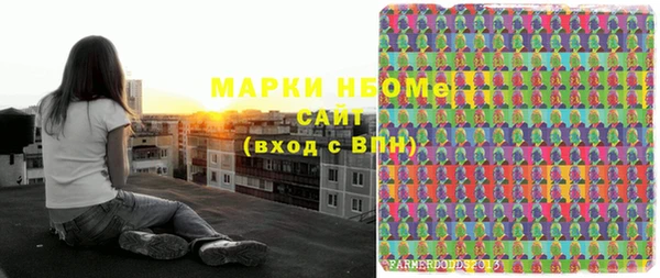 шишки Верея