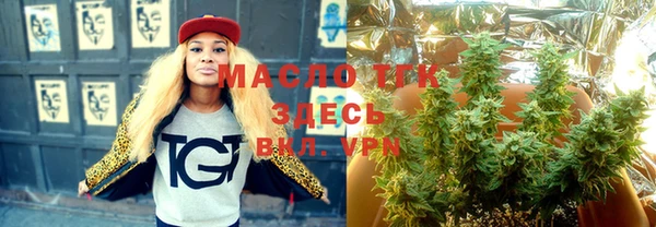 шишки Верея