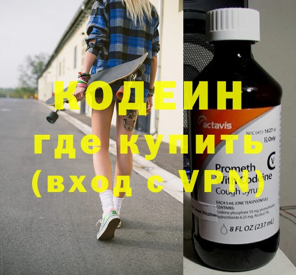 шишки Верея