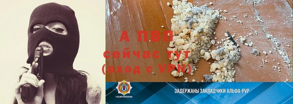шишки Верея