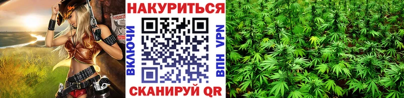 МАРИХУАНА конопля Абакан